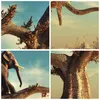 Poster - Poster ohne Rahmen - Sitzen Elefant Baum - 50x70 Produktbild-Vorschau 8