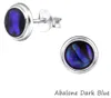 Abalone Paua Muschel Ohrstecker: 925er Silber Ohrringe Produktbild-Vorschau 1