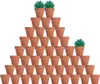 48 Stuks Mini Terracotta Potten für fettfreudige Pflanzen Produktbild-Vorschau 1