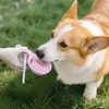 285ml Tragbare Hundetrinkflasche Edelstahl 304 mit Produktbild-Vorschau 5