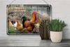 Blechschild Spruch 30x20cm es gibt so viele Hühner und Produktbild-Vorschau 4
