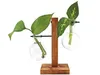 Winkee - Hydrovase Fleur | 2X Vaso da fiori con 1x Supporto Anteprima dell’immagine prodotto 4