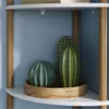 Étagère d'angle Vicco Bivio blanc/pin 29x133cm avec 5 Voir les images du produit 4