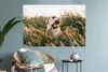 MuchoWow® Wandtattoo Wandsticker Wandaufkleber Labrador Produktbild-Vorschau 6
