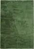 A top-down view of a green rug with a textured, abstract pattern. Náhled obrázku produktu