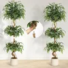 Ficus artificiel, tronc courbé Ficus artificiel avec pot Voir les images du produit 3