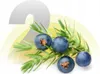 A sprig of juniper berries with a large number '2' graphic overlay. Produktbild-Vorschau