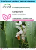 SAFLAX Darčeková sada - kardamóm - Elettaria cardamomum - Náhľad obrázku produktu 1