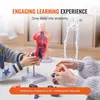 Children are assembling anatomical models on a table, with text overlays promoting learning. Náhled obrázku produktu