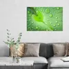 DEQORI Hybrid Leinwand Bild 90x60 cm 'Grüne Juwelen' Produktbild-Vorschau 3