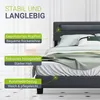 Juskys Polsterbett Paris 180 x 200 cm Kunstleder mit LED & Produktbild-Vorschau 5