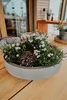 VIVANNO Coupe décorative en fibre de verre ESCADA LOW, gris Voir les images du produit 6
