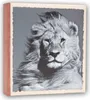ZEP WILD LIFE Fotoalbum, 200 Fotos, 13 x 19 cm, Produktbild-Vorschau 2