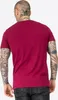 Herren T-Shirt normale Passform TAVERHAM Oxblood M Lonsdale Produktbild-Vorschau 4