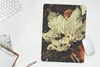 MuchoWow® Mauspad Mousepad Herbstblätter - Herbst - Produktbild-Vorschau 5