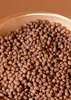 KoRo I Soja Protein Crispies mit Kakao und 58 % Protein 1 Produktbild-Vorschau 3