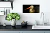 MuchoWow® Poster Vogel - Schnabel - Federn 40x20 cm - Produktbild-Vorschau 3