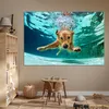 MuchoWow® Poster Pool - Hund - Wasser 180x120 cm - Produktbild-Vorschau 6