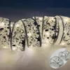Weihnachtsband Deko Lichterkette 10M 100 LED Glänzende Produktbild-Vorschau 2