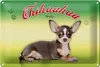 Blechschild Hund 30x20cm Chihuahua Mexiko Wanddeko Produktbild-Vorschau 1
