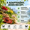 Stress sprej – Ashwagandha, Rhodiola, Reishi & Schisandra – Náhľad obrázku produktu 3