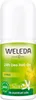 Weleda 24h Antiperspirant v kuli s osvujc citrusovou vn, 50 Náhled obrázku produktu 2