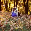 Jolly Pets Ball Tug-n-Toss 10 cm Blau Produktbild-Vorschau 2