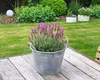 A potted lavender plant sits on a wooden table in a garden setting. Produktbild-Vorschau