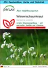 SAFLAX - Geschenk Set - Heilpflanzen - Wiesenschaumkraut - Produktbild-Vorschau 1