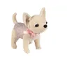 DeCuevas 10043 Chihuahua Rüde DIDI 2021 Produktbild-Vorschau 1