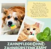 noms+ Dentalspray 50ml  für Hunde und Katzen bei Zahnstein Produktbild-Vorschau 3