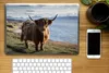 MuchoWow® Laptop Aufkleber Sticker Cover Schottische Produktbild-Vorschau 2