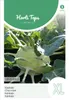 Kohlrabi Superschmelz | Kohlrabisamen von Hortitops Produktbild-Vorschau 1