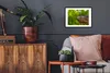MuchoWow® MuchoWow® Gerahmtes Poster Eule - Baby - Baum Produktbild-Vorschau 3