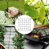 Wachsen Zelt Netz,Scrog Netz 60x60 cm Pflanzennetz Produktbild-Vorschau 6