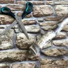 Klebefolie - Möbelfolie Design Naturstein - Mauer -  90 cm Produktbild-Vorschau 4
