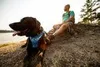 Ruffwear Front Range Harness Hundegeschirr, Farbe:Coastal Produktbild-Vorschau 7