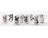 PETS Becher Yorkshire Terrier Hund, Bone China Porzellan, Produktbild-Vorschau 6