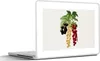 MuchoWow® Laptop Aufkleber Sticker Cover Lebensmittel - Produktbild-Vorschau 1