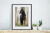 MuchoWow® MuchoWow® Gerahmtes Poster Pferd - Braun - Wald Produktbild-Vorschau 6