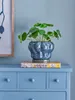 A blue ceramic plant pot with a green base sits on top of two books on a blue dresser. Produktbild-Vorschau