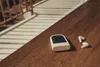 A pair of white wireless earbuds and their charging case are placed on a wooden surface next to a railing. Anteprima dell’immagine prodotto