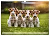 Drahthaar-Foxterrier (Wandkalender 2027 DIN A3 quer), Produktbild-Vorschau 6