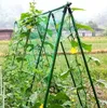 DIXIE STORE, Tomaten und Gurken Rankhilfe, Rankgitter Produktbild-Vorschau 9