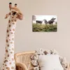 MuchoWow® Poster Kühe - Licht - Gras - Tiere 30x20 cm - Produktbild-Vorschau 6