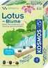 Kosmos 45496906, Experimentier-Set, Botanik, 8 Jahr(e) Produktbild-Vorschau 1