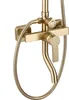 A close-up studio shot of a gold-brushed shower faucet. Produktbild-Vorschau