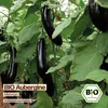 Samenliebe  Aubergine Samen | Melonga - violett & fleischig Produktbild-Vorschau 4