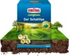 Substral Rasensamen Der Schattige - 2 kg Produktbild-Vorschau 5