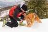 A person and a dog in the snow, possibly during a rescue operation. Produktbild-Vorschau